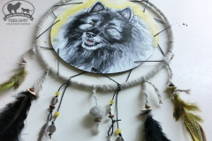 dreamcatcher-eby-2