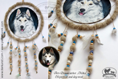 dreamcatcher-sandra-thies