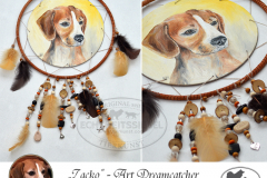 dreamcatcher-zacko-sippel