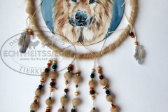 iris-brauner-asterix-dreamcatcher