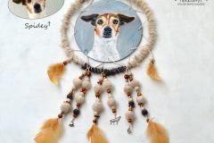 spidey-dreamcatcher-final