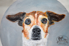 spidey-dreamcatcher2