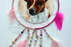 winnie-dreamcatcher-01