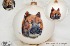 schinkel-eurasier-kugel
