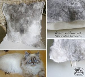 Kissen aus Katzenwolle