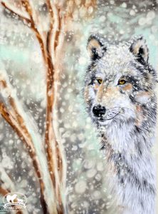 Wolf im Schneesturm